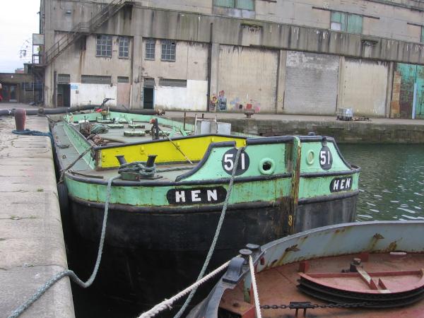 HEN in dock