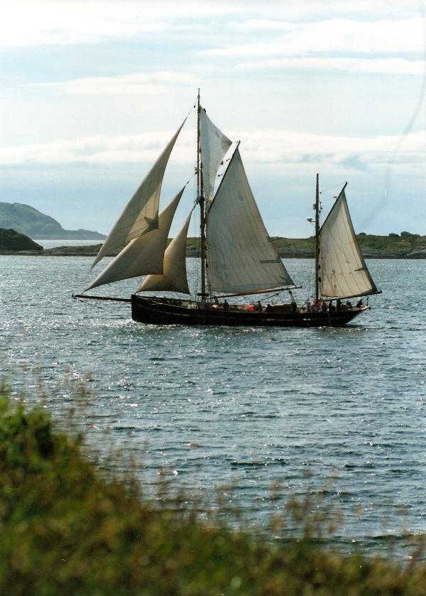 Leader - under sail