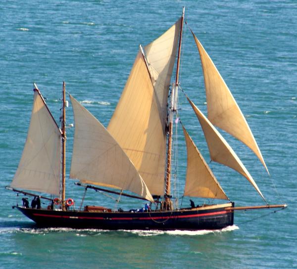Leader - under sail