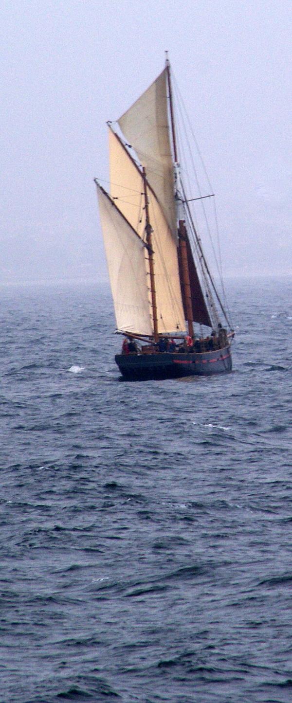 Leader - under sail