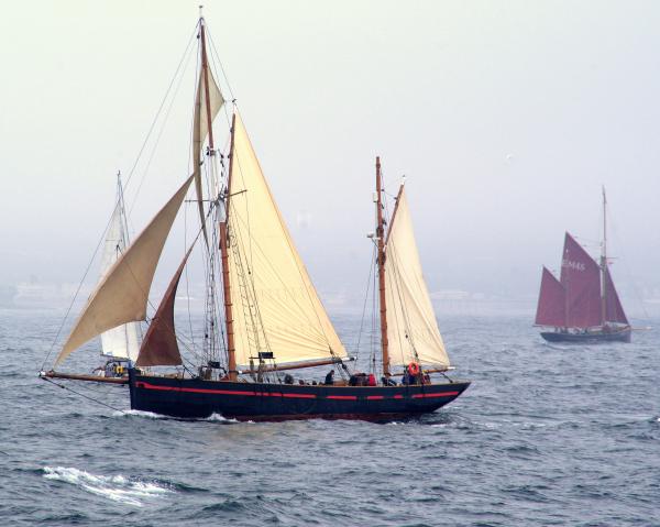 Leader - under sail