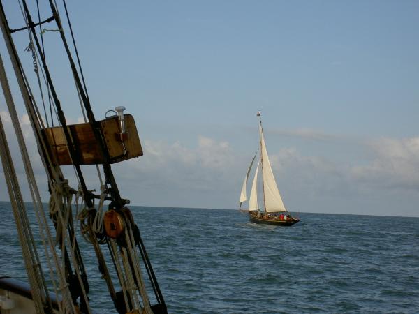 Olga in the Bristol Channel