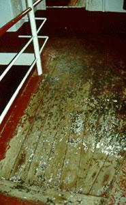 ROSS TIGER - Wear on maindeck.