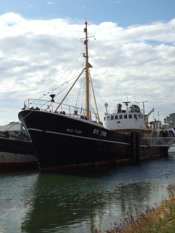 Ross Tiger - Bow view, port side