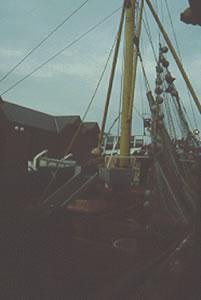 ROSS TIGER - Main Deck.