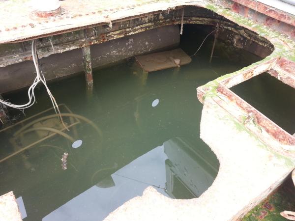 Panurgic internal view 2, 2014