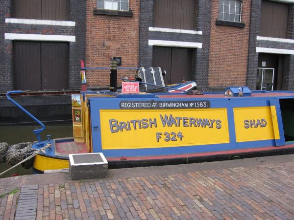 Shad - starboard side