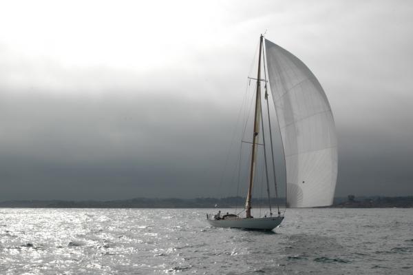 bow view