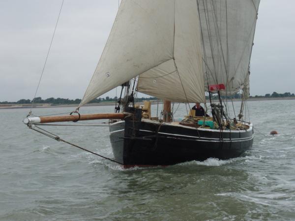 Saxonia sailing