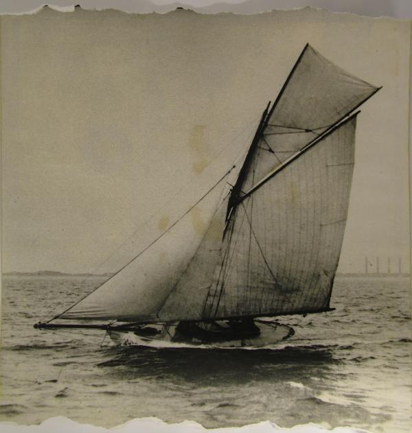 White Rose under sail - port side view