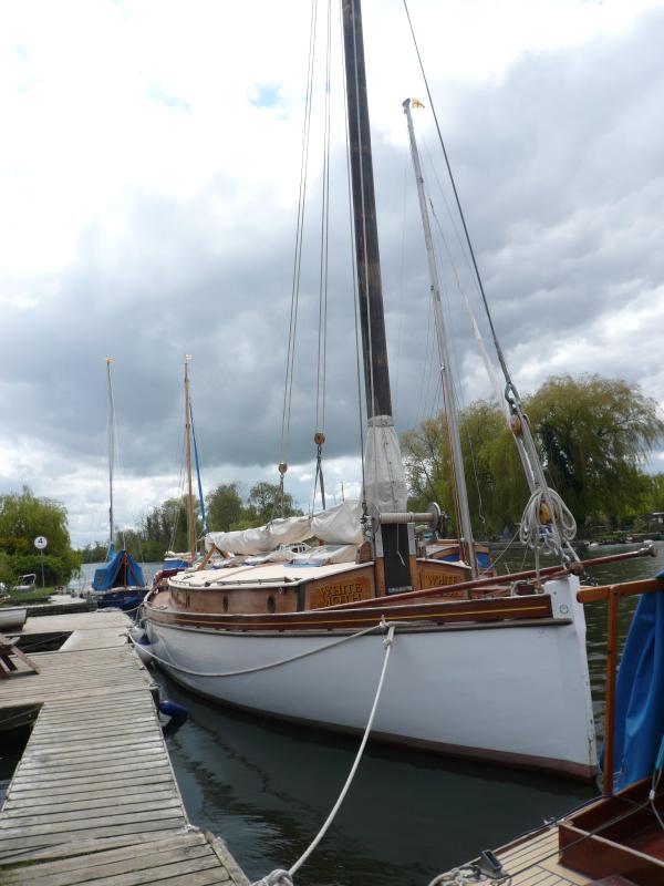 White Moth in Horning