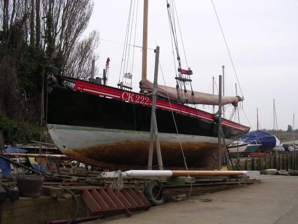 Ellen - out of the water