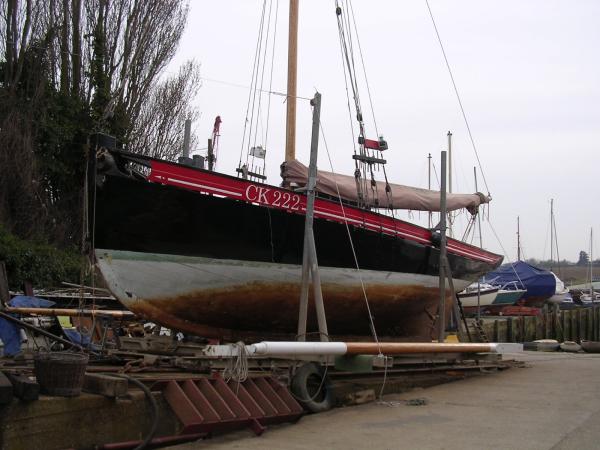 Ellen - out of the water