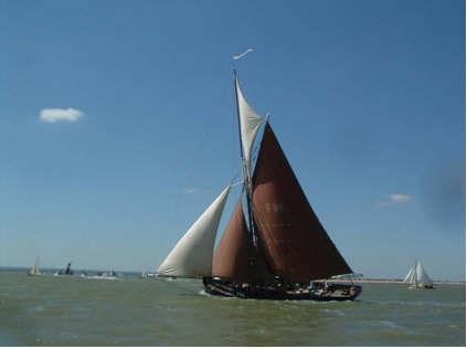 Thistle sailing