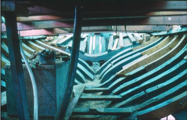 Stormy Petrel - interior frames