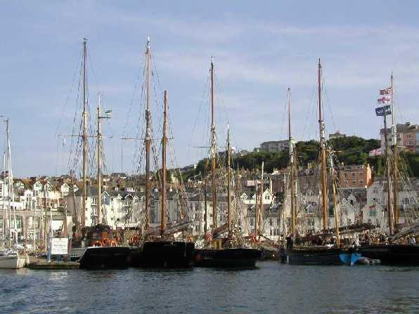 Kenya Jacaranda alongside