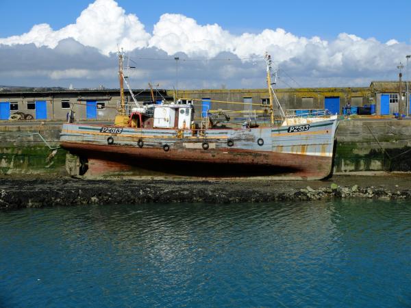 In Newlyn Harbour