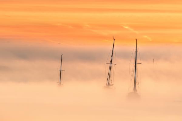Masts in the mist