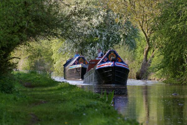 Original Grand Union pair 'Corolla' and 'Carina' head down the North Oxford Canal at Brinklow. Both boats had been repainted to celebrate the King's Coronation.