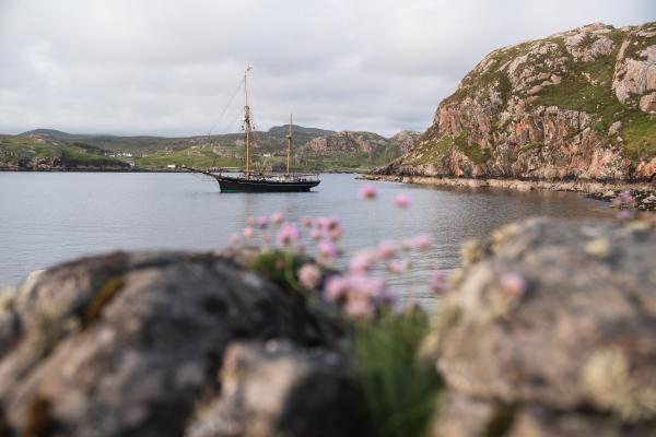 Spring Flowers and Calm Scottish Waters