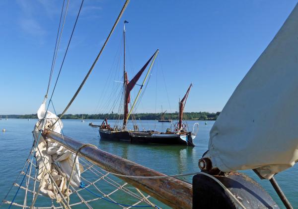 Mirosa and Cambria - Pin Mill