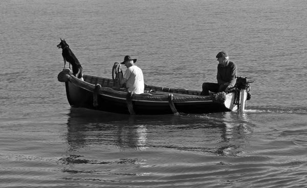 4 legged lookout - the crew of Mirosa head out in the early morning