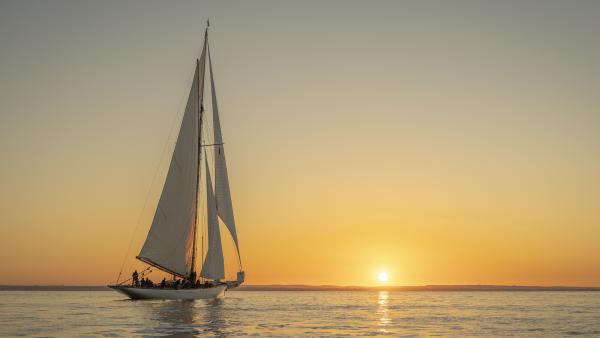 Mariquita at Dawn