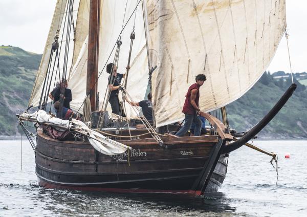 Sheltand zulu with bumpkin