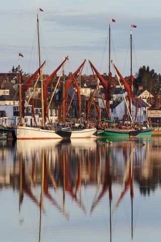 Photo Comp 2018 entry - Reminder & Kitty at Maldon, by Sandy Miller