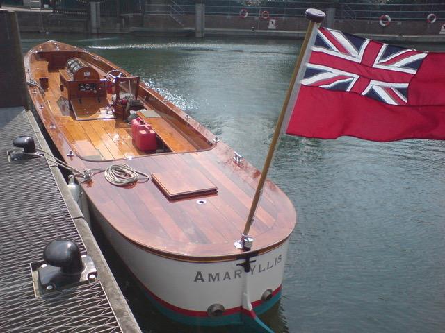 Amaryllis - ensign