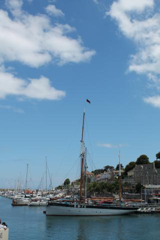 Photo Comp 2018 entry - Vigilance at Brixham Marina, by Louise Beams