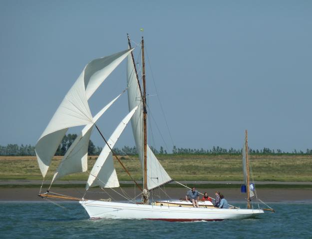 Bonita - in Swale Race