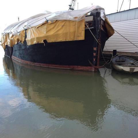 Raybel - under cover for last ever winter at Heybridge Basin - Jan 19