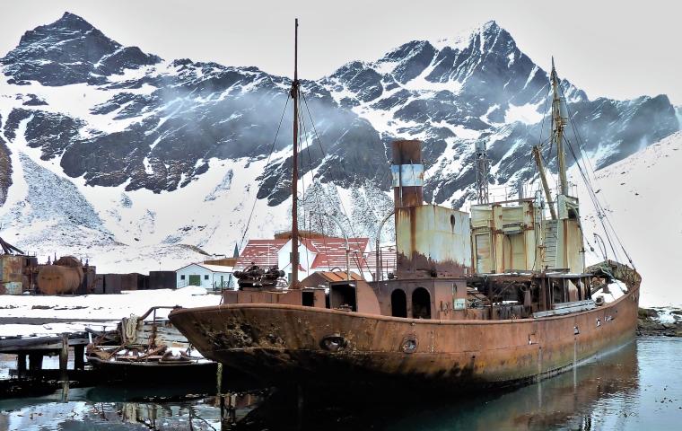 Viola in port at South Georgia