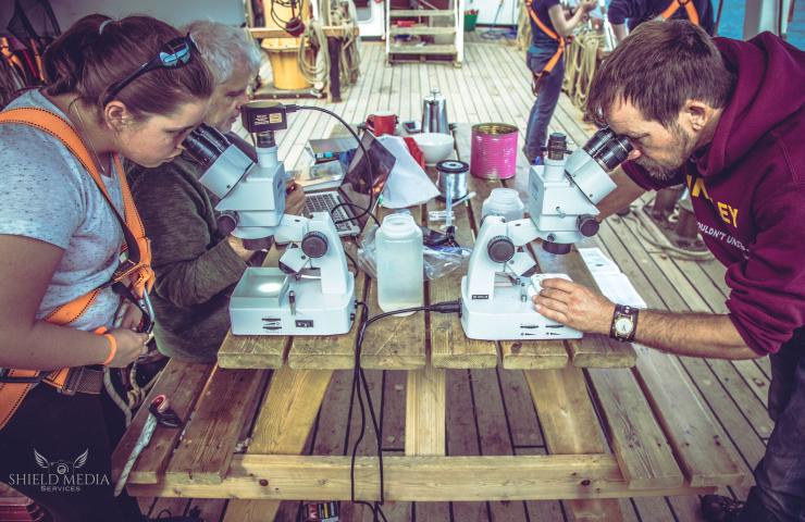 TS Pelican - work on deck (c) Adventure Under Sail