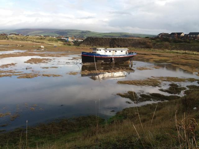 Severn Iris - low tide