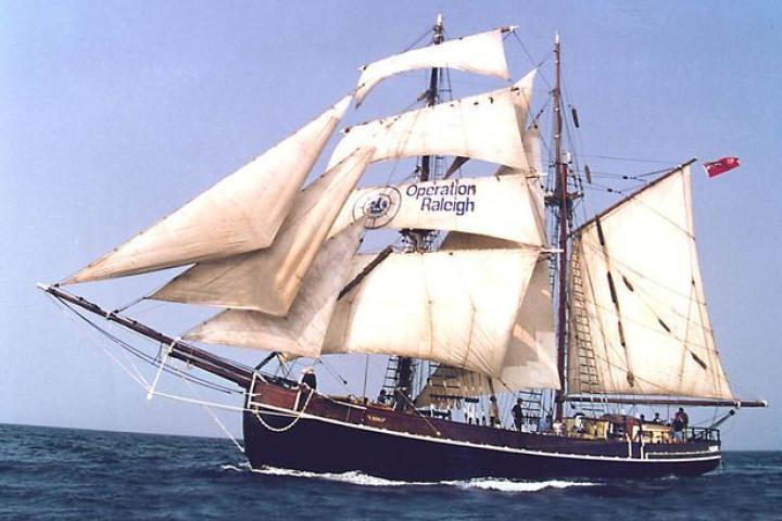 Zebu under full sail