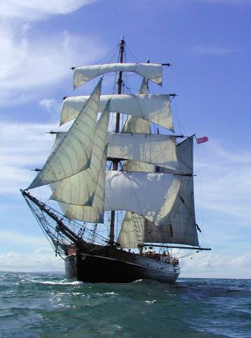 Zebu under full sail