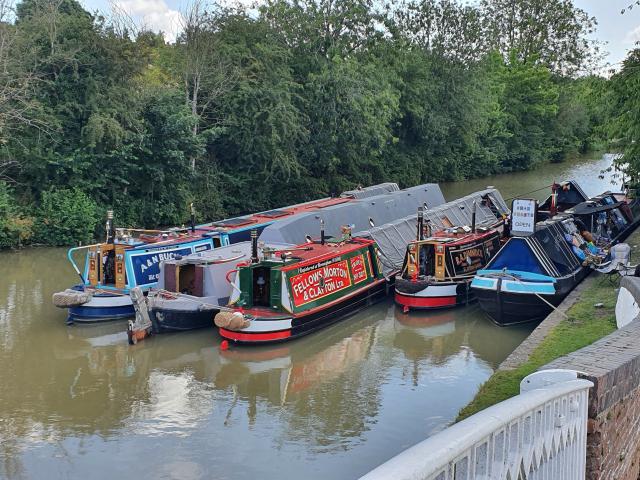 Trout moored 2019