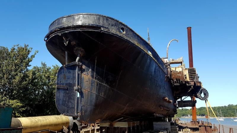 Out of the water