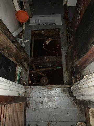 Internal shot
