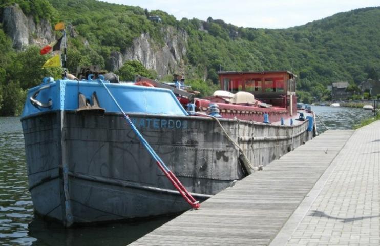 Waterdog - Profondeville on River Meuse, 2013