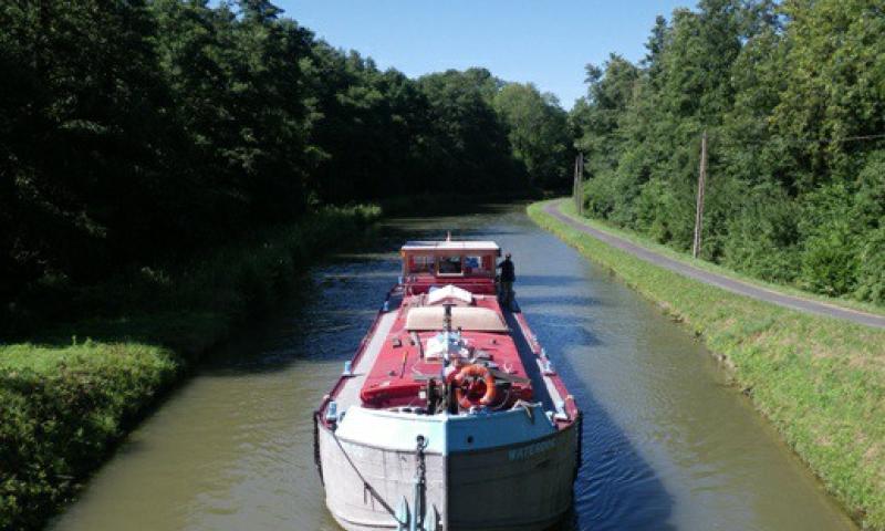 Waterdog on Canal des Ardennes, 2013