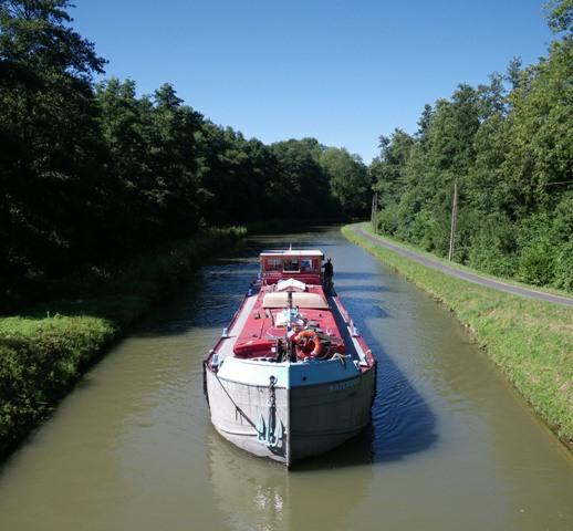 Waterdog on Canal des Ardennes, 2013