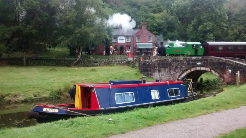 Daisy at Consall Forge
