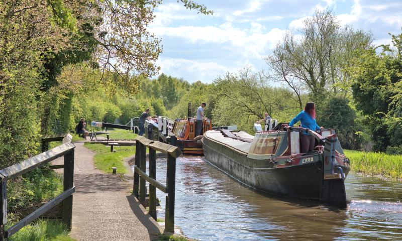 Lyra and Otley on the Erewash Canal - 2022 Photo Comp entry