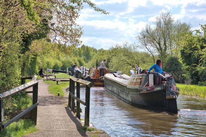 Lyra and Otley on the Erewash Canal - 2022 Photo Comp entry