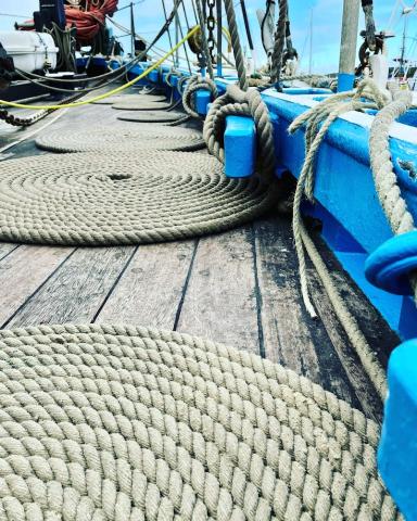 Neatly coiled ropes on deck of Swan - Photo Comp 2022 entry