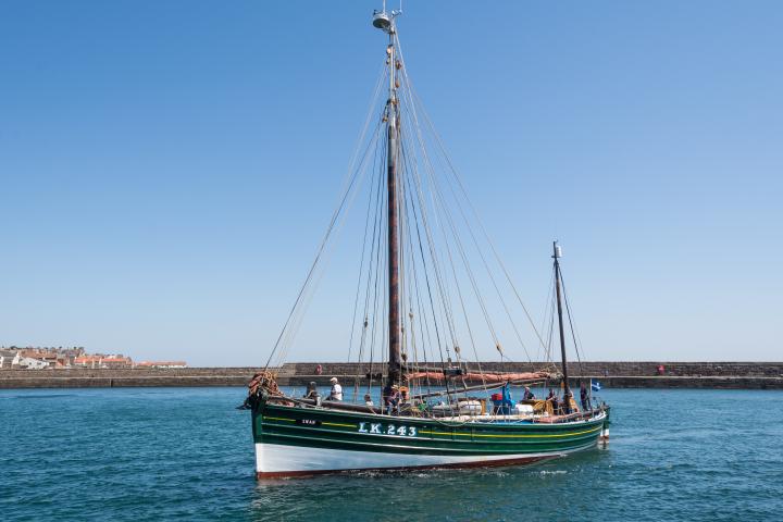 Photo Competition 2023 - Arrival of Swan in Anstruther, June 2023 by Alaistair Ramsay