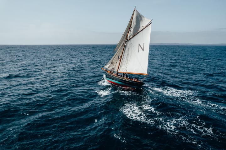 Mascotte sailing